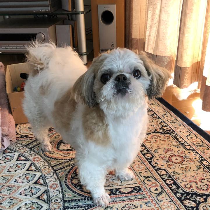 4ef8a14f 17e0 4a2e b7df 30d88f681493 1520137868049