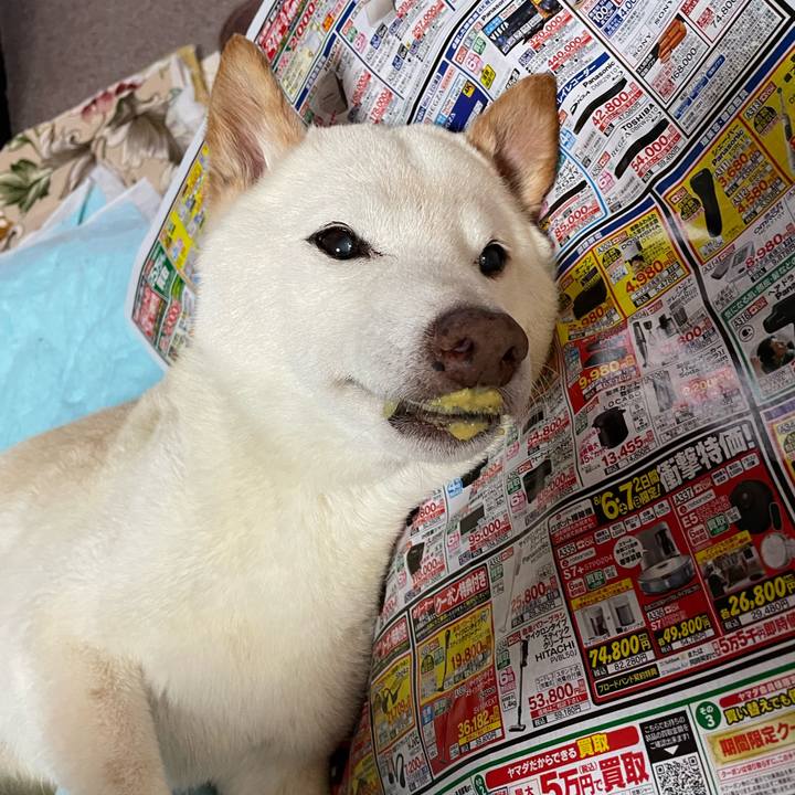 4ef8a7be 2014 469c 8749 2074b7a050a5 1659942248563