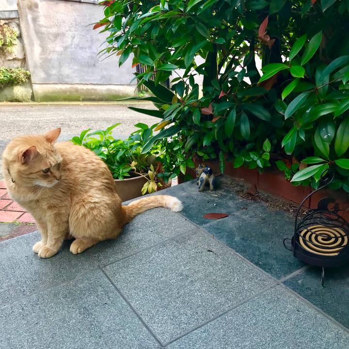 4ef8e2b5 35ff 41e7 9ede 6d7b65a328a9 1527670604101