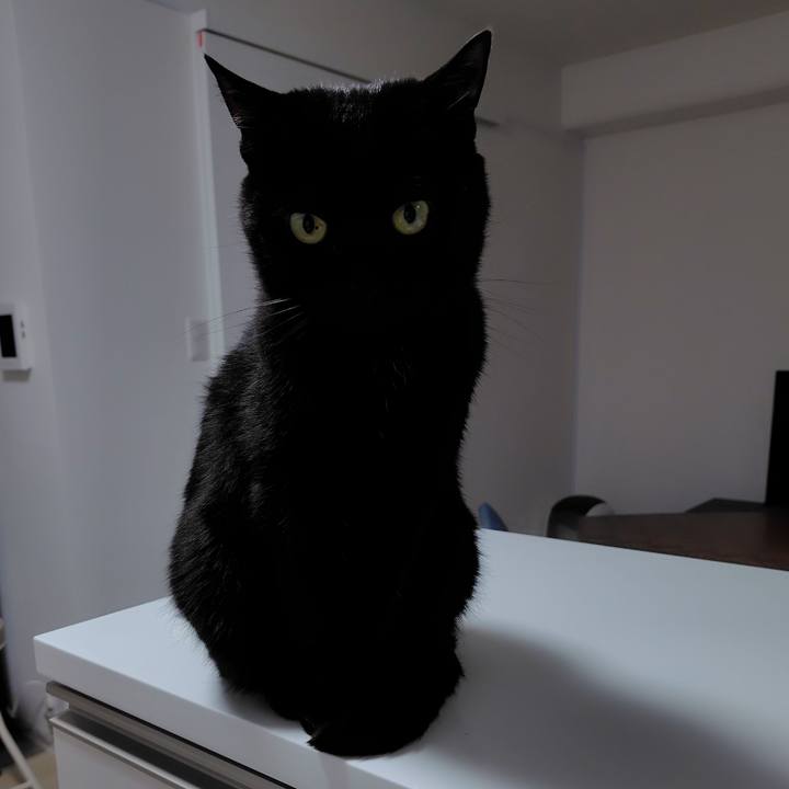 4ef8ebea af94 47a3 bc37 e973b299bda7 1715942344705