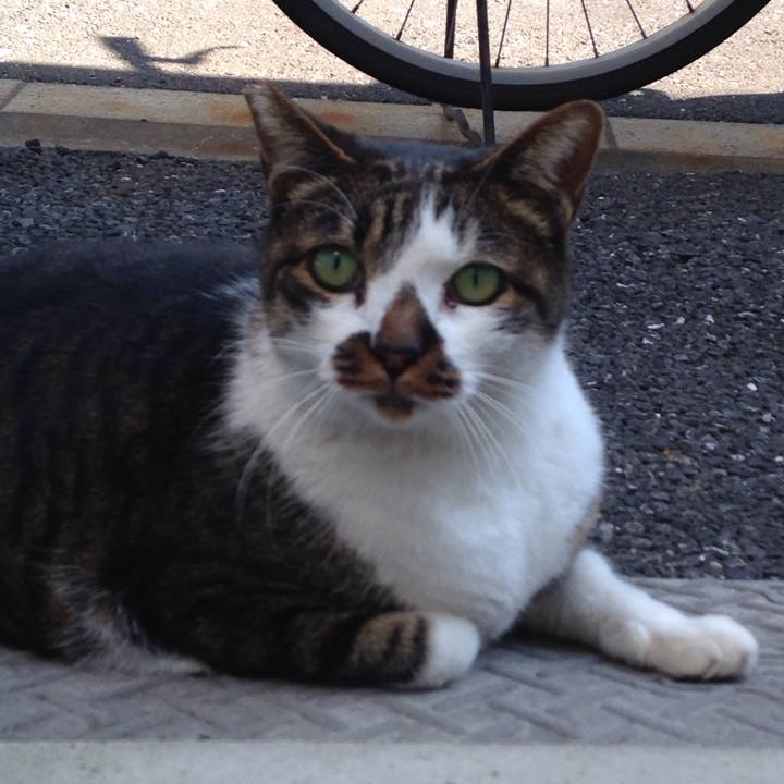 4ef94e3d 0469 47b8 b6c3 029df2b529cd 1508989423212