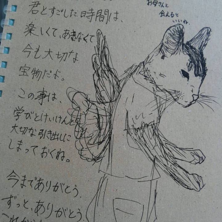 4ef97f80 d52c 45cc a255 f3bb81b9277f 1569420453943