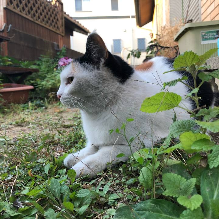 4ef9b17a 7ff0 45f6 b3a4 563f8be46d92 1604096013737