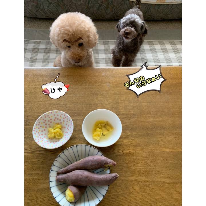 4ef9bf65 ef26 43bd bd88 6baca2dc19ca 1564901582689