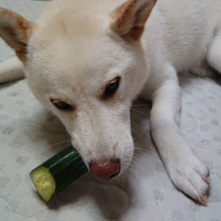 4ef9bfc2 ff46 4df8 bf98 03cad7540b8b 1562845187408