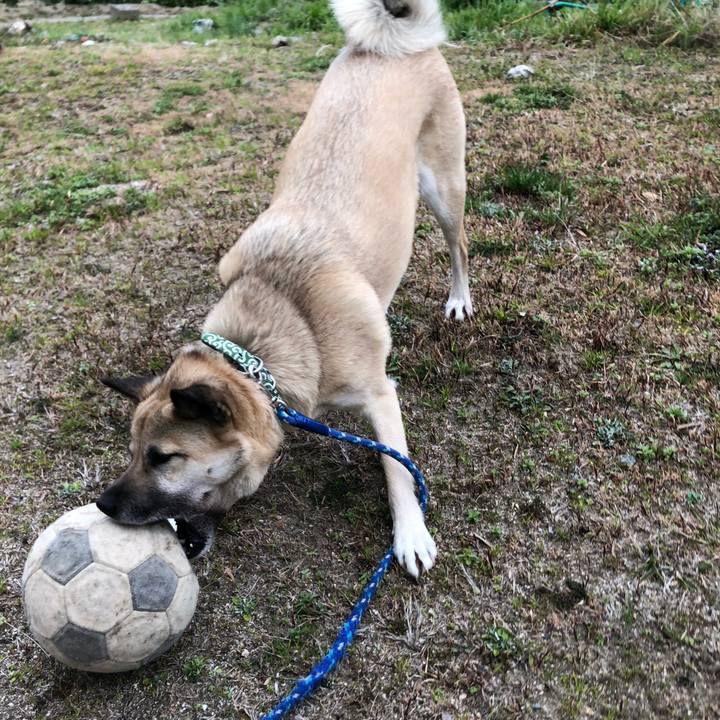 4efa02a7 743a 47a5 ba54 32b5e1f9c98a 1613214973380