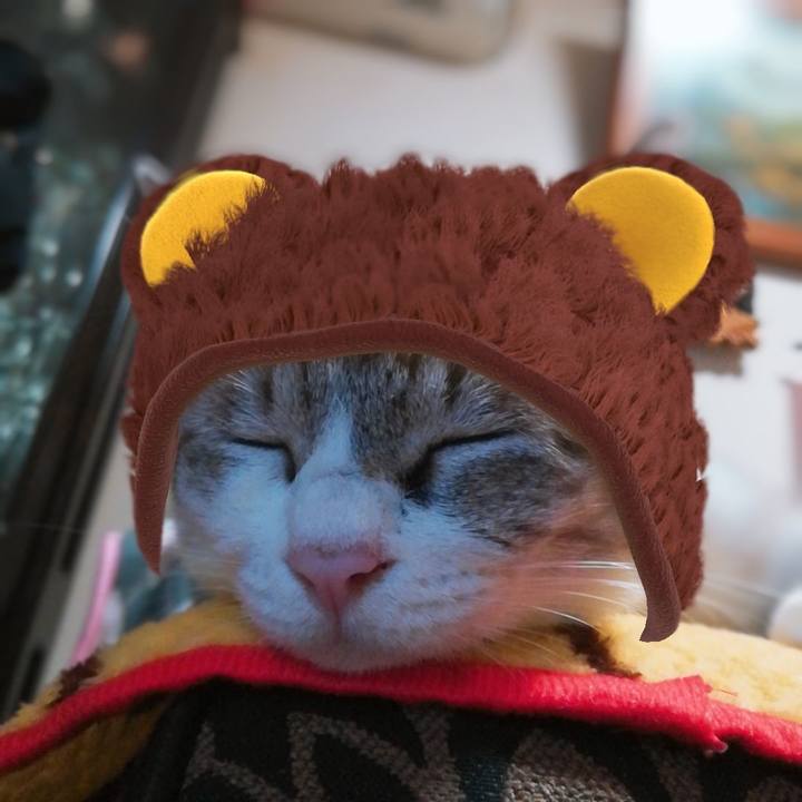 4efa6969 29e4 45c2 b7e6 c5e7b6a92407 1569580969272