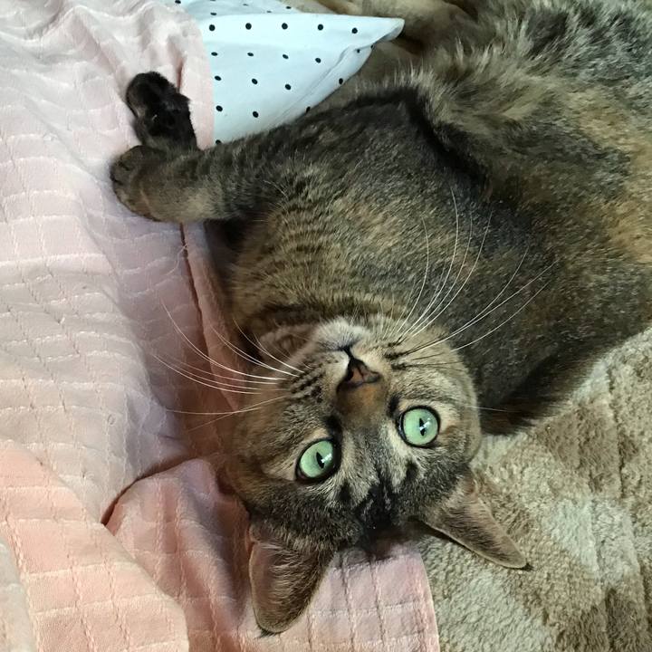 4efa97a4 cba0 4556 b8ed ac7763ed4d93 1668823077709