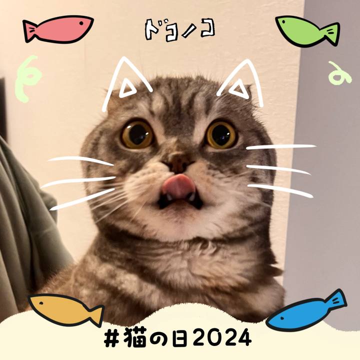 4efaa256 d82a 4bd1 9af5 9a07f73bb6d7 1708602474208