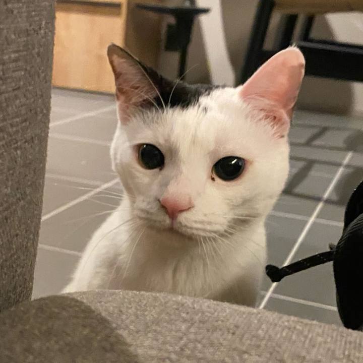 4efaac3e c366 4a57 be0e 05a93180994a 1742954216145