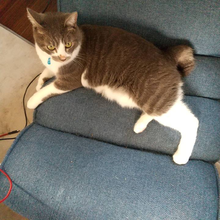 4efac559 ad5f 43e8 a465 378902f49807 1602544605676