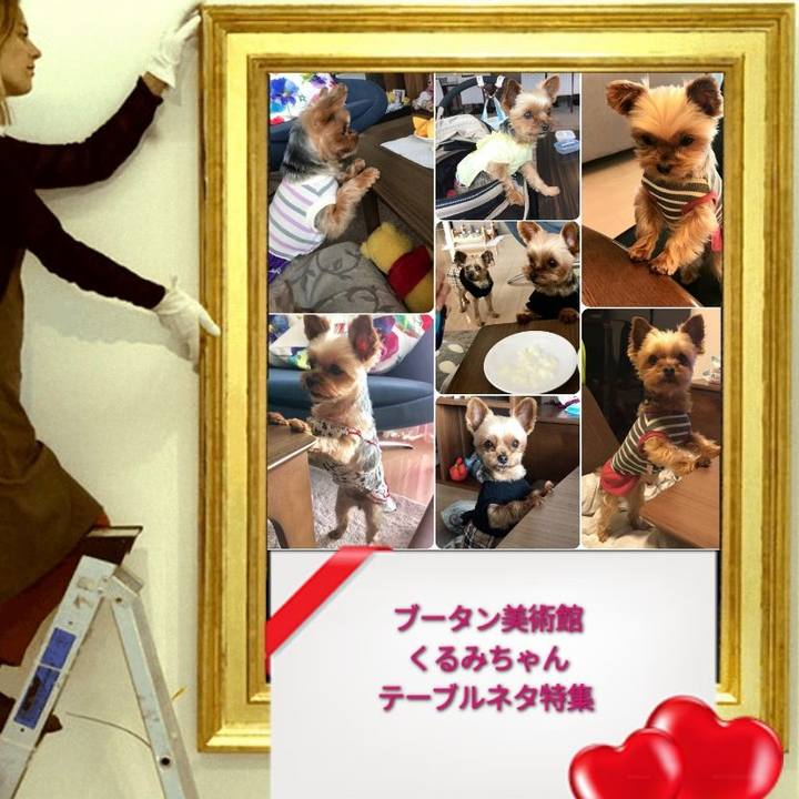 4efacf6c cf35 49f9 88e3 8a32702f72da 1584050939103