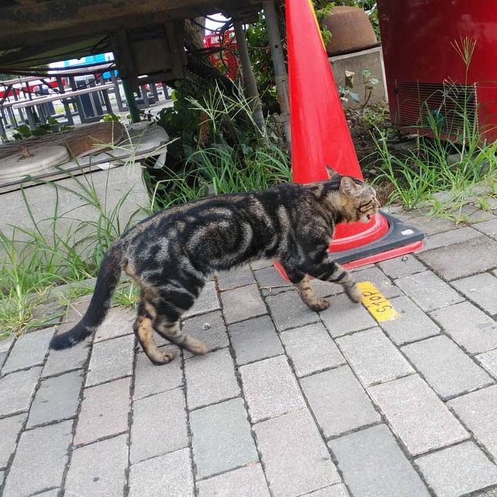 4efae915 396b 4250 90bc 4a206c1168d6 1598919550666