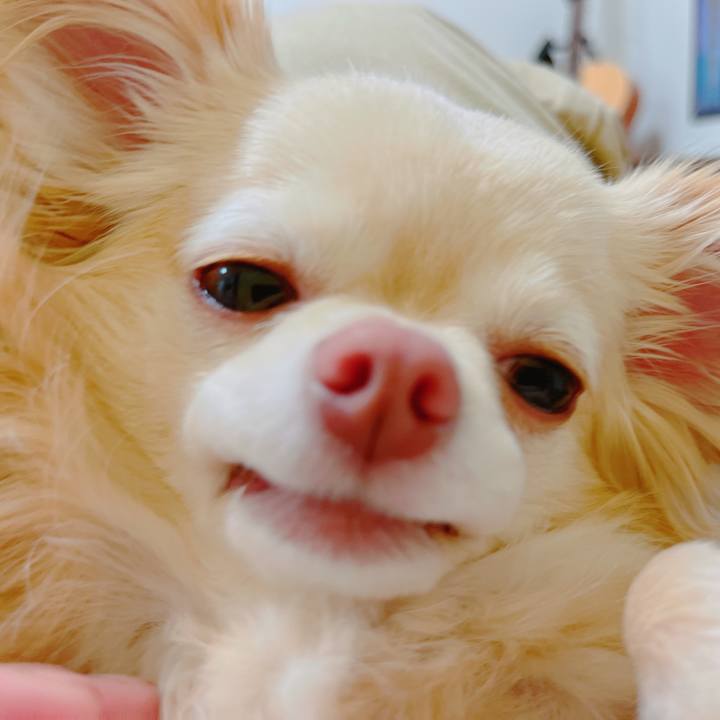 4efaec09 3ec9 4e69 b2ea b82dad314d38 1650673885675