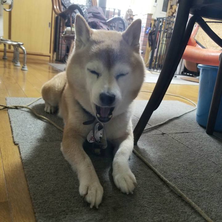 4efaf2d0 e8cb 4bb3 9d7c 4d669b9db5c9 1703204931039