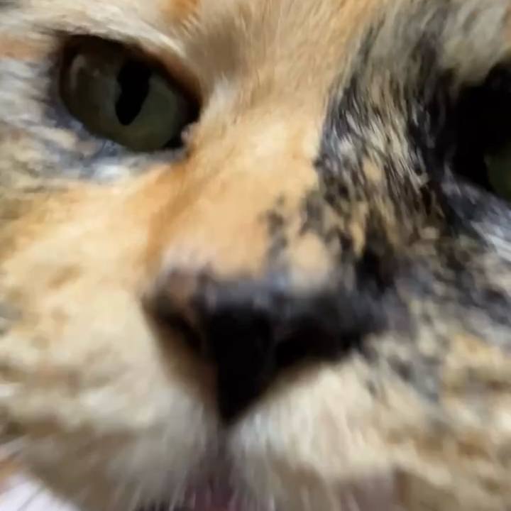 4efb0e03 fb00 4719 8bb5 270bfa54f132 1737062130154