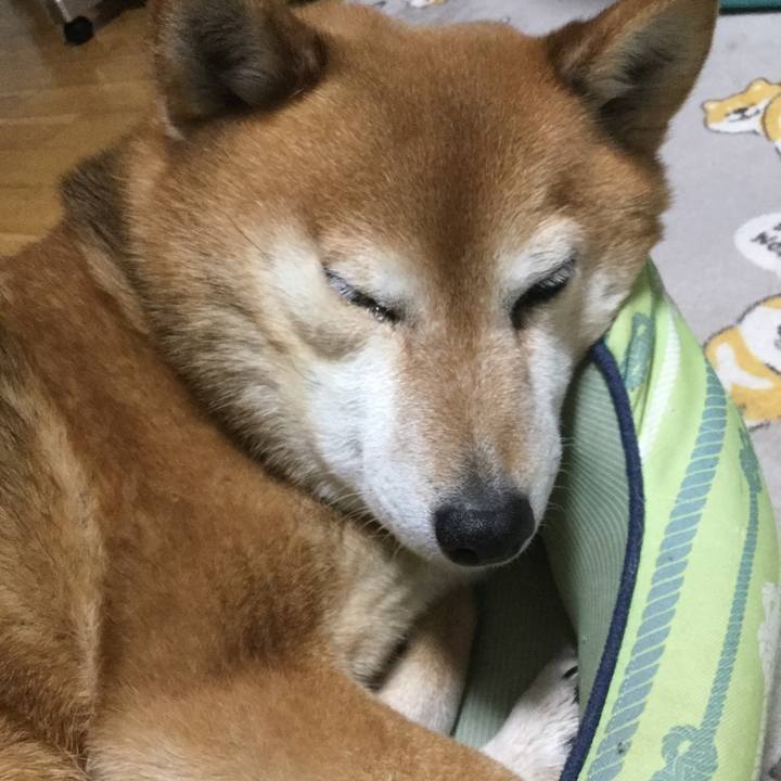 4efb1070 eb9c 40a7 a034 215ca046e3ee 1616502483662