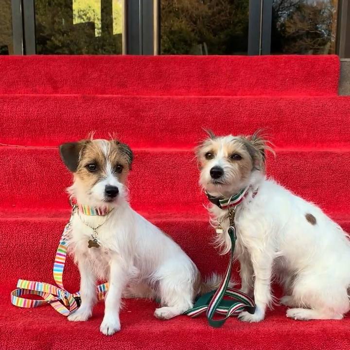 4efb2c84 44cd 4913 a7be 86d538a6d63f 1773493722744