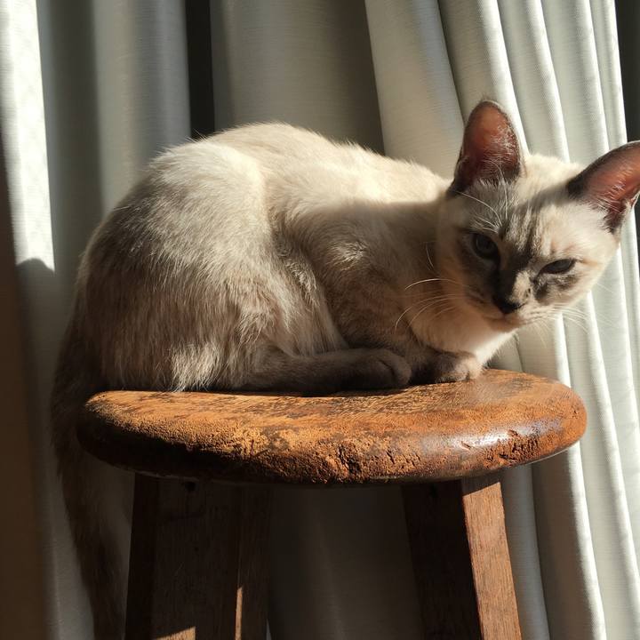 4efb50bd c45d 40fc 80d8 fc0b1119a46f 1540079836840