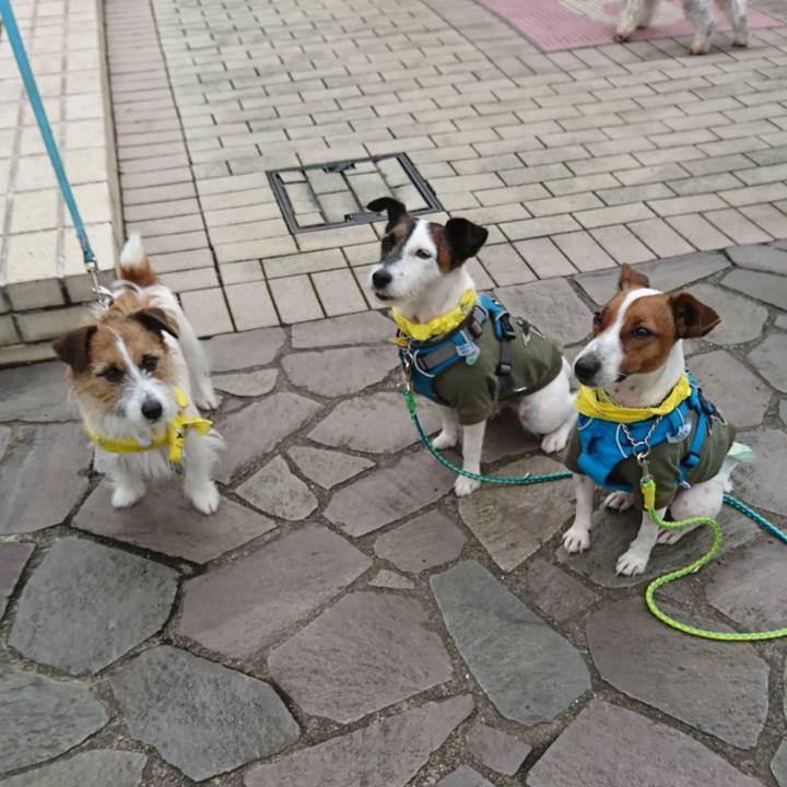 4efbc2cb d757 407c 813e f7de05236eb9 1560064901711