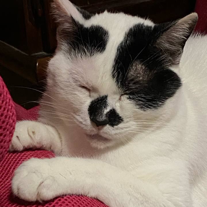 4efc1d58 6a26 4cee b466 85be084feb16 1716466368918