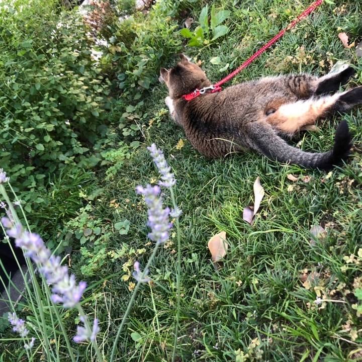 4efc57c1 4ed5 4f57 a29f 46b5afaacd66 1656468530919