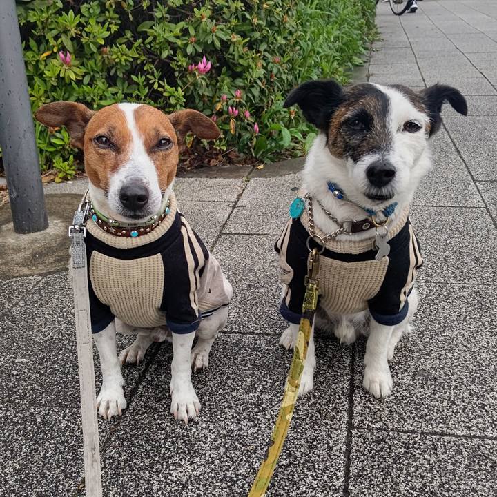 4efc829a 5b82 42e2 934b f094c65d1300 1680736351898