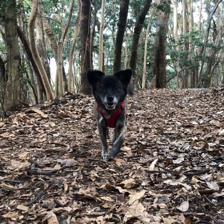 4efc877a 5174 4ddf 933e 91b47fd35e91 1548377507342