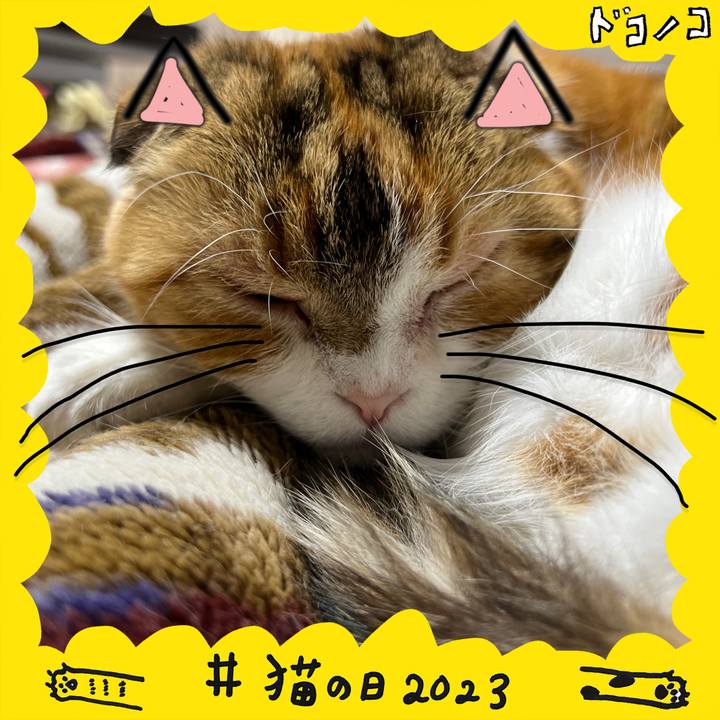 4efcb804 66f9 438e 80ee 79f2f59aee7e 1677070226652