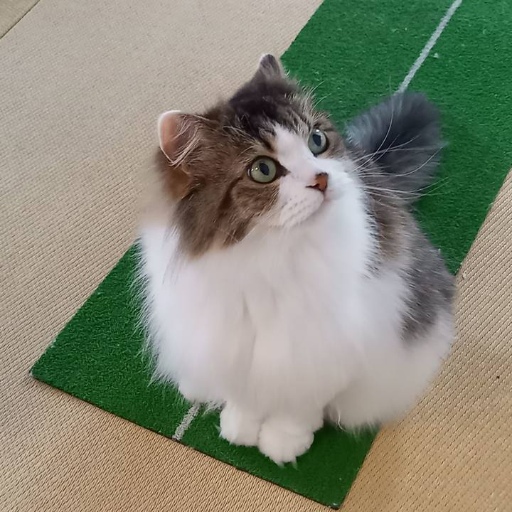 4efce69e 71a8 4df6 85be fb933e6e0a8a 1688512218646