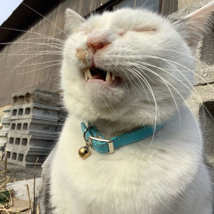 4efd467d f87a 41cb 9540 665e021bb1c9 1609649636075