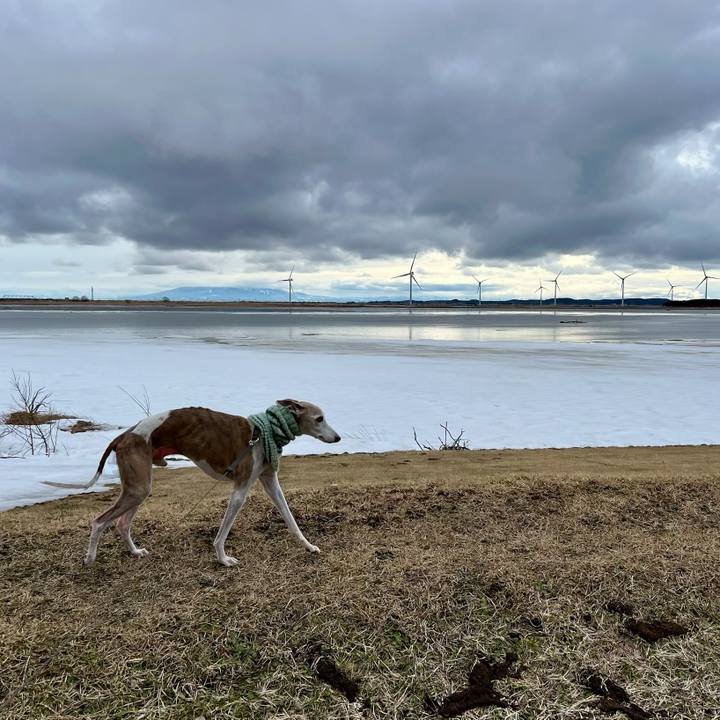 4efd7c3a 0738 4137 a3ea 0a24f93c75ae 1772611726741