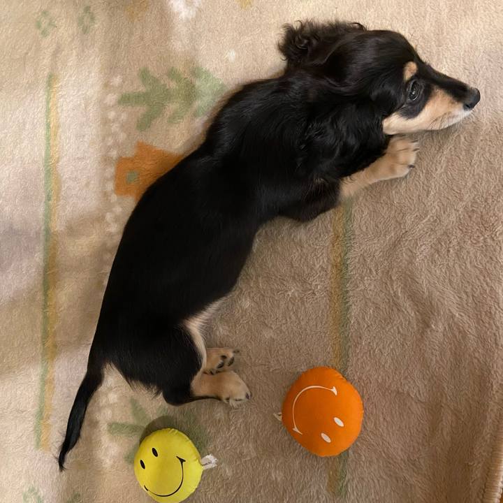 4efdad4d 503b 41b2 ac5f 810e9fd1cc6e 1666051678641