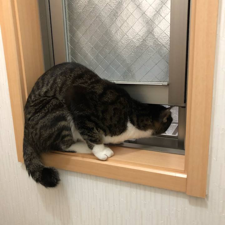 4efdd8b3 65ce 4b3d b411 9fc0409c00d3 1521886659398