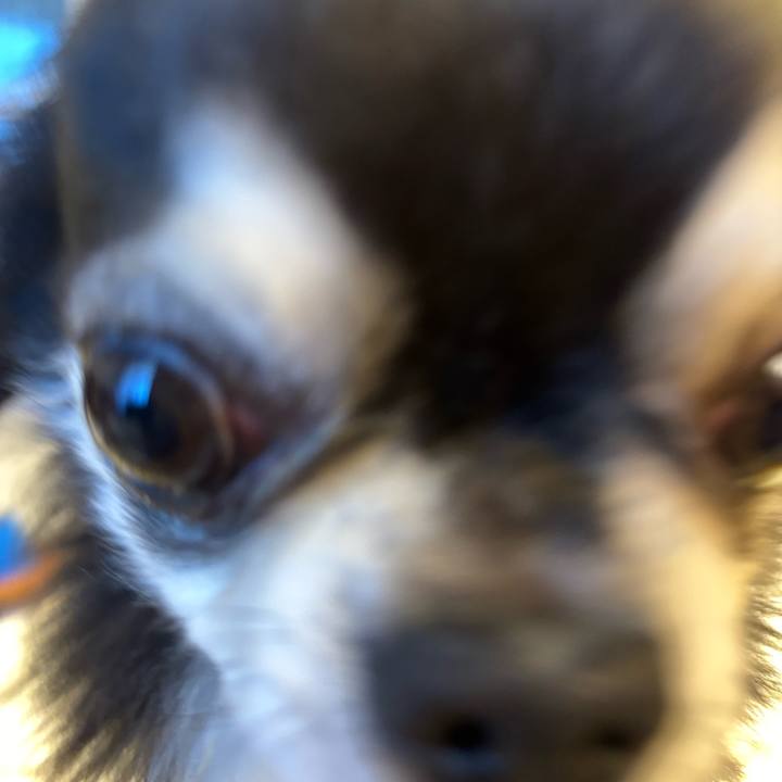 4efde13e 0516 4120 ad23 899b8f092ef3 1736613175497