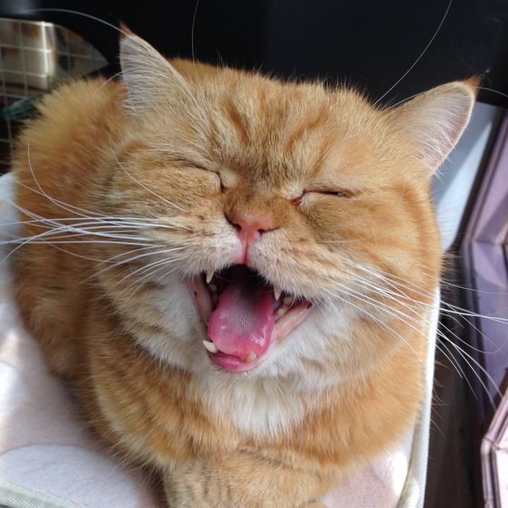 4efe077c 37e2 4d0d 9448 b78c73e086e0 1645489778387