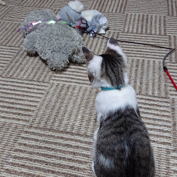 4efe0c29 49f2 4d72 bb01 bb9b06d01ad2 1544744449753