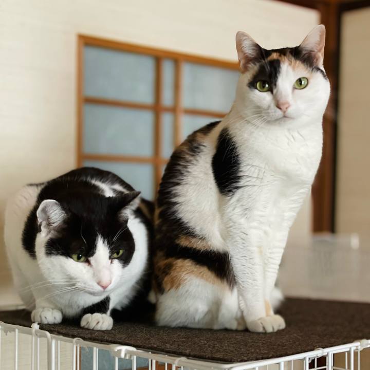 4efe11c9 4367 468d b678 afcf6e989198 1643943541540