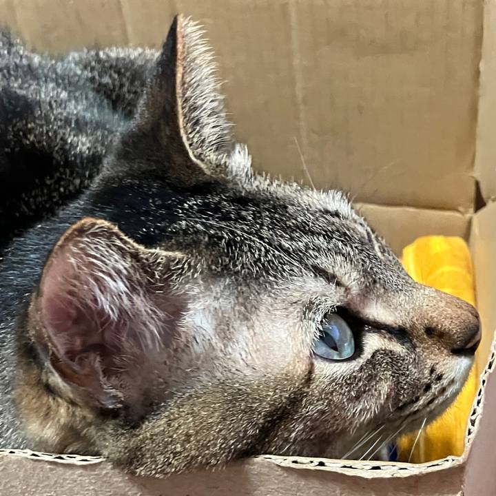 4efe1aee 26fb 4225 b29a f1b88015b2fc 1769208449961