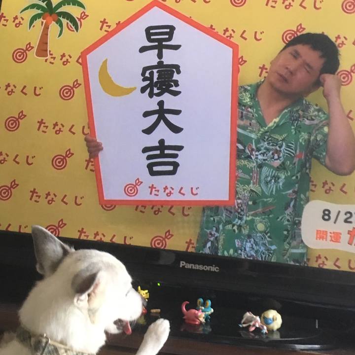 4efe1e11 2ed0 43c2 8d17 4c5d8d9fc12e 1535321850673