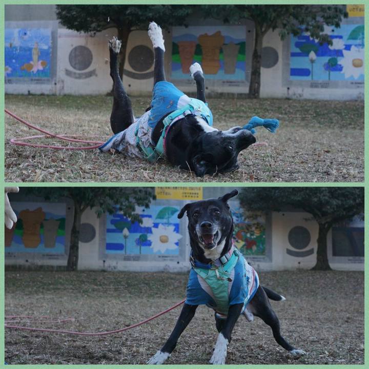 4efe250a 8a6f 400f b838 01bcc50dca7a 1769652003990