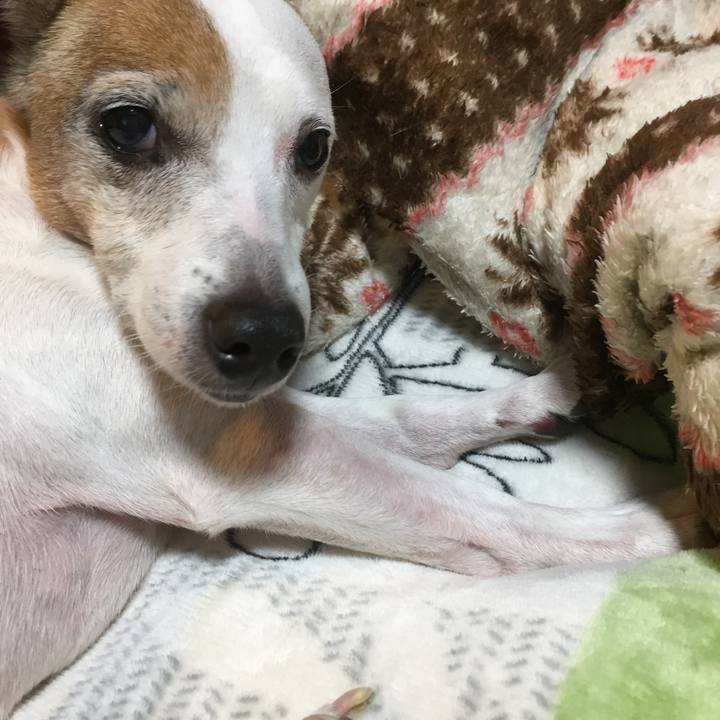 4efe3216 d3a4 4c64 baf4 7e73d0348cd7 1510053664027