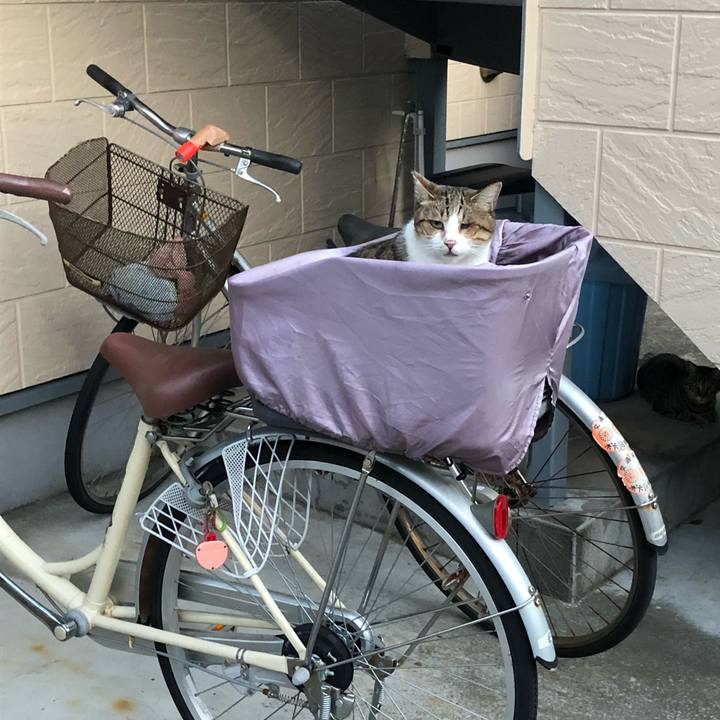 4efe3f71 86fb 437b 8dc3 73fa2fa71920 1536496780518