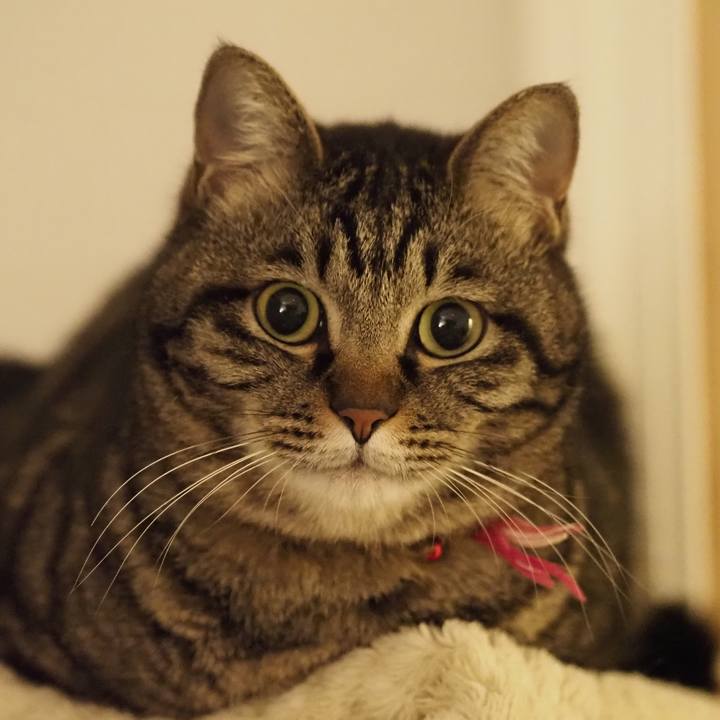 4efe43df d177 4e20 abf4 84062b64416d 1620991616048