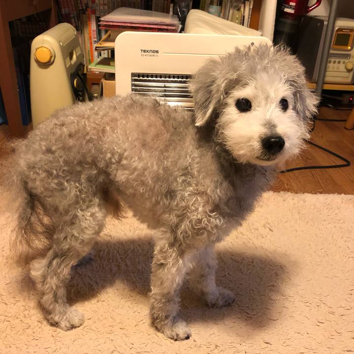 4efe6fa8 c925 4254 97d2 937bd1dcc494 1707875969347