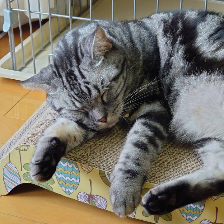 4efe90a8 0297 4b03 8530 cd3c29cacbf8 1630381948453