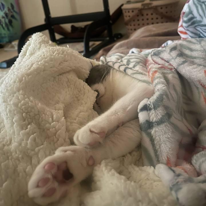 4efeb3c4 7145 4b4e a56f 95464dfa1cbe 1700956010072