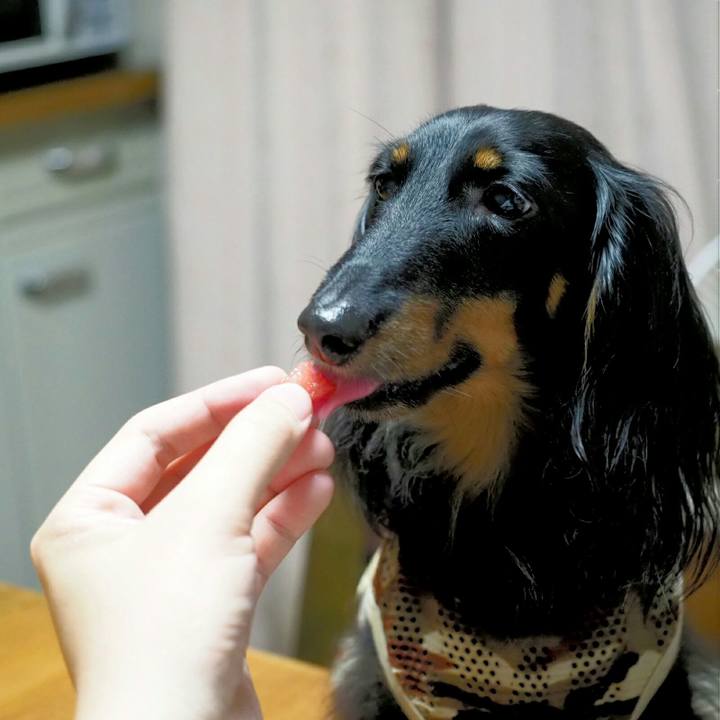 4efed725 55e2 4feb 994e a96932b18a92 1530926655180