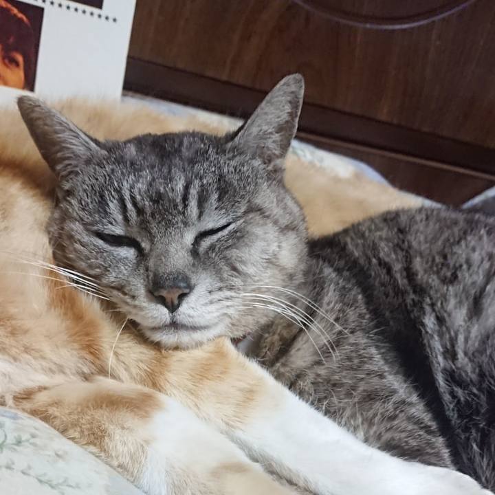 4efeee4e 8fe0 4062 901e 61a10cfd31bc 1587989701281