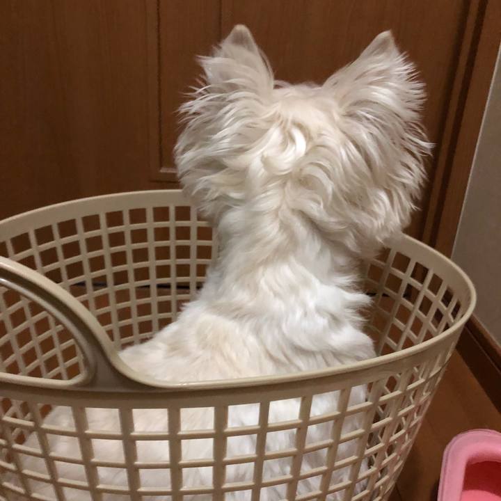 4efef8b6 c7e7 40a3 bdb6 1a7e1f2579e5 1573828895109